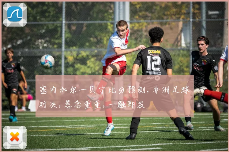 塞内加尔一贝宁比分预测,非洲足球对决,悬念重重,一触即发