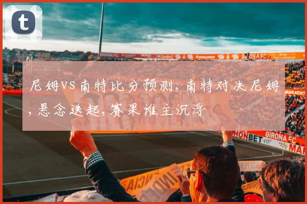 尼姆vs南特比分预测,南特对决尼姆,悬念迭起,赛果谁主沉浮
