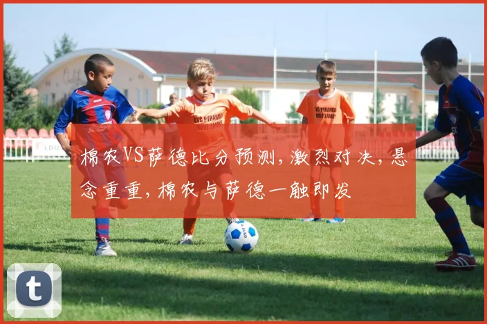 棉农VS萨德比分预测,激烈对决,悬念重重,棉农与萨德一触即发